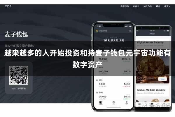 越来越多的人开始投资和持麦子钱包元宇宙功能有数字资产