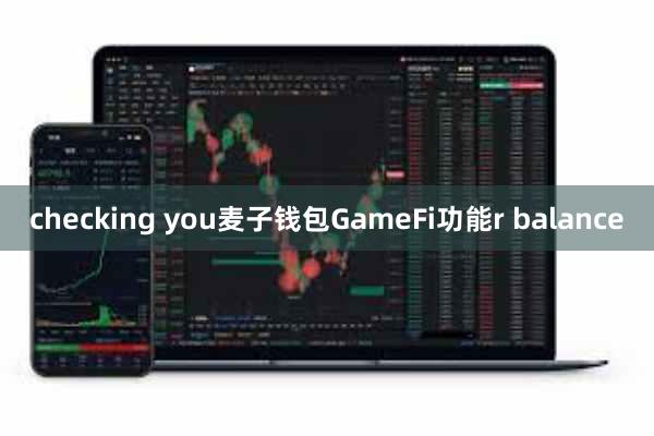 checking you麦子钱包GameFi功能r balance