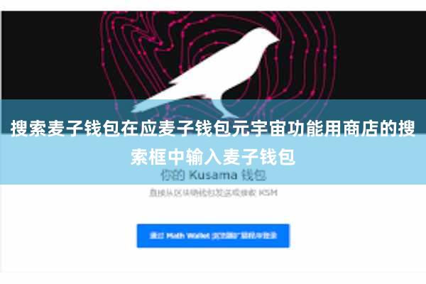 搜索麦子钱包在应麦子钱包元宇宙功能用商店的搜索框中输入麦子钱包