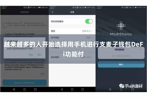 越来越多的人开始选择用手机进行支麦子钱包DeFi功能付