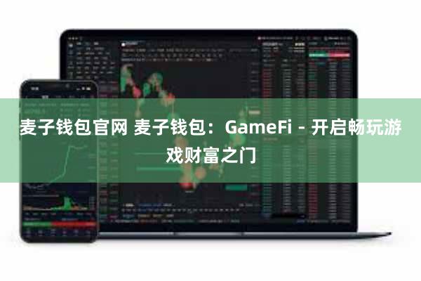 麦子钱包官网 麦子钱包：GameFi - 开启畅玩游戏财富之门