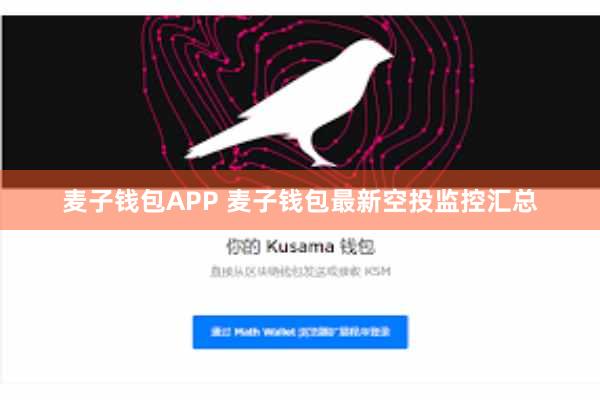 麦子钱包APP 麦子钱包最新空投监控汇总