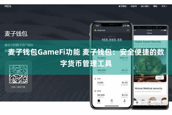 麦子钱包GameFi功能 麦子钱包：安全便捷的数字货币管理工具