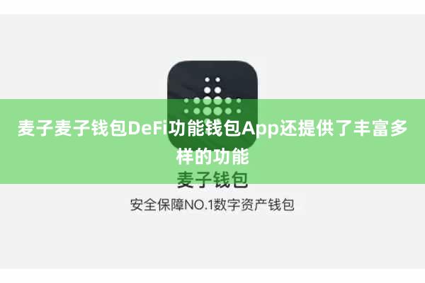 麦子麦子钱包DeFi功能钱包App还提供了丰富多样的功能