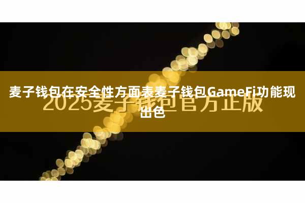 麦子钱包在安全性方面表麦子钱包GameFi功能现出色
