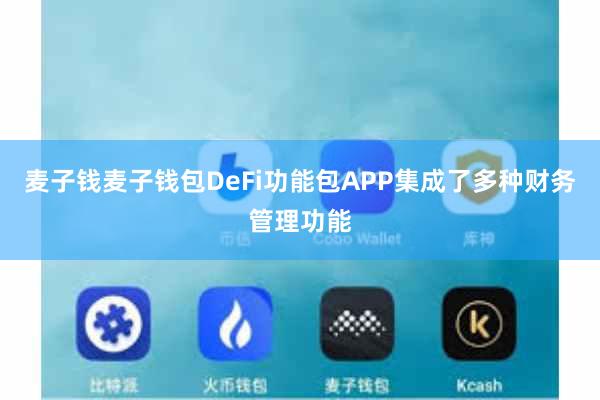 麦子钱麦子钱包DeFi功能包APP集成了多种财务管理功能