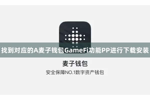 找到对应的A麦子钱包GameFi功能PP进行下载安装