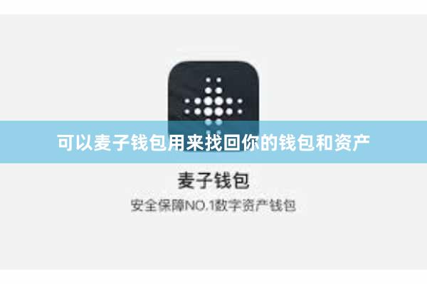 可以麦子钱包用来找回你的钱包和资产
