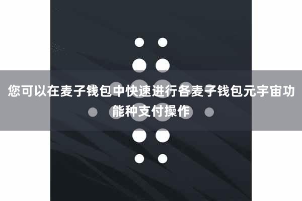 您可以在麦子钱包中快速进行各麦子钱包元宇宙功能种支付操作
