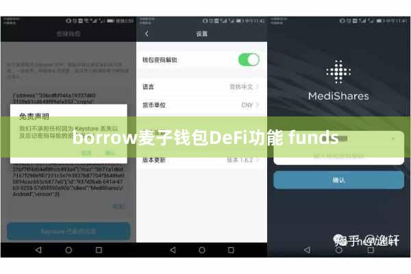 borrow麦子钱包DeFi功能 funds