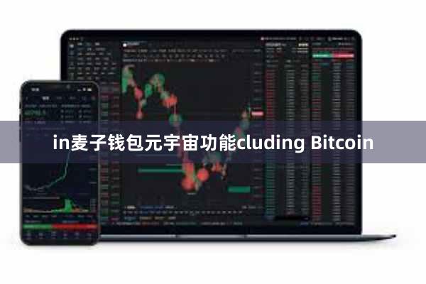 in麦子钱包元宇宙功能cluding Bitcoin