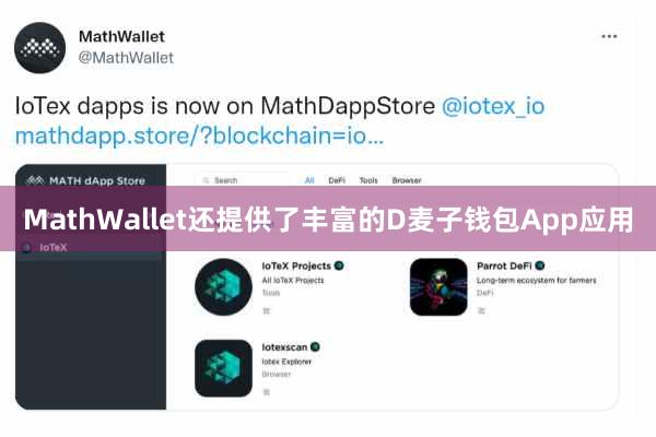MathWallet还提供了丰富的D麦子钱包App应用