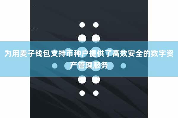 为用麦子钱包支持币种户提供了高效安全的数字资产管理服务