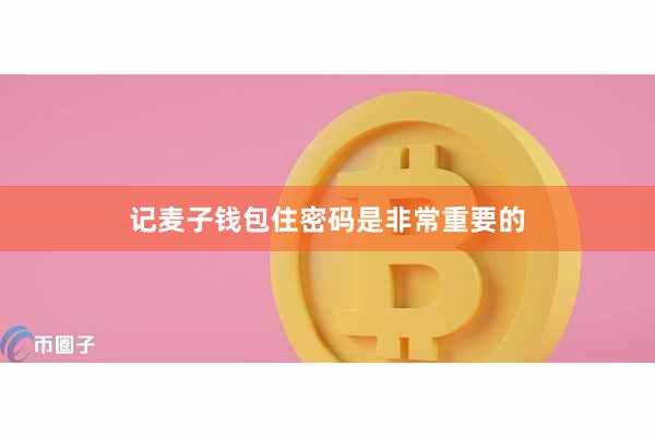 记麦子钱包住密码是非常重要的
