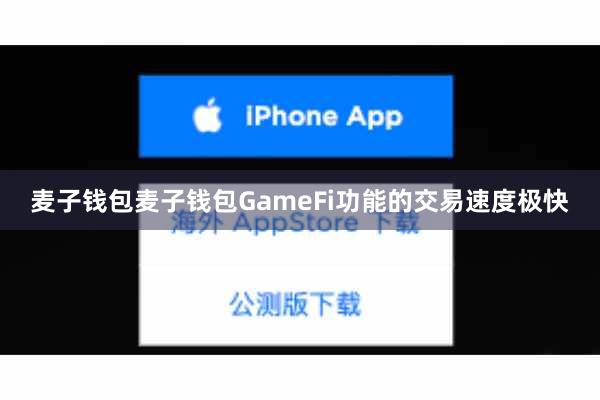 麦子钱包麦子钱包GameFi功能的交易速度极快
