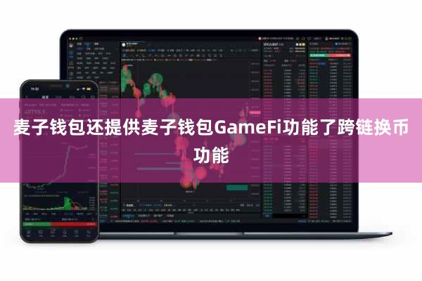 麦子钱包还提供麦子钱包GameFi功能了跨链换币功能