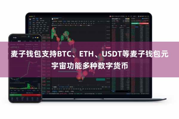 麦子钱包支持BTC、ETH、USDT等麦子钱包元宇宙功能多种数字货币