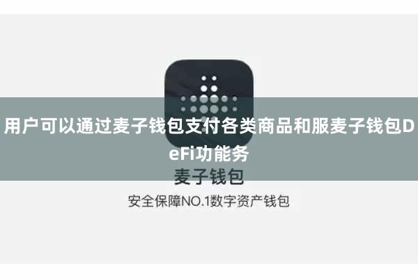 用户可以通过麦子钱包支付各类商品和服麦子钱包DeFi功能务