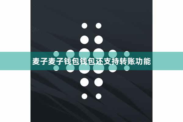 麦子麦子钱包钱包还支持转账功能